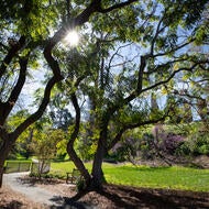 UCR Botanic Gardens.