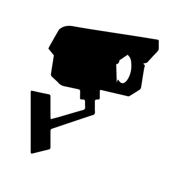 Security Camera Icon